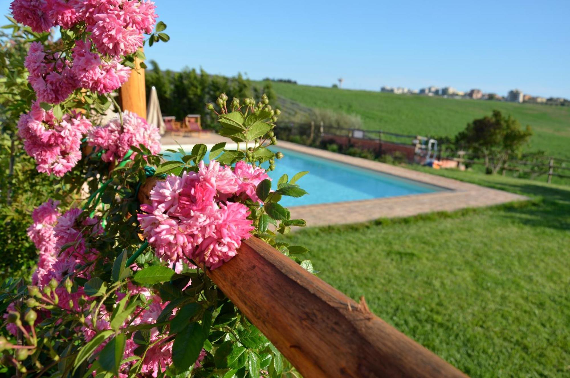 Tenuta Saracone Montalto di Castro