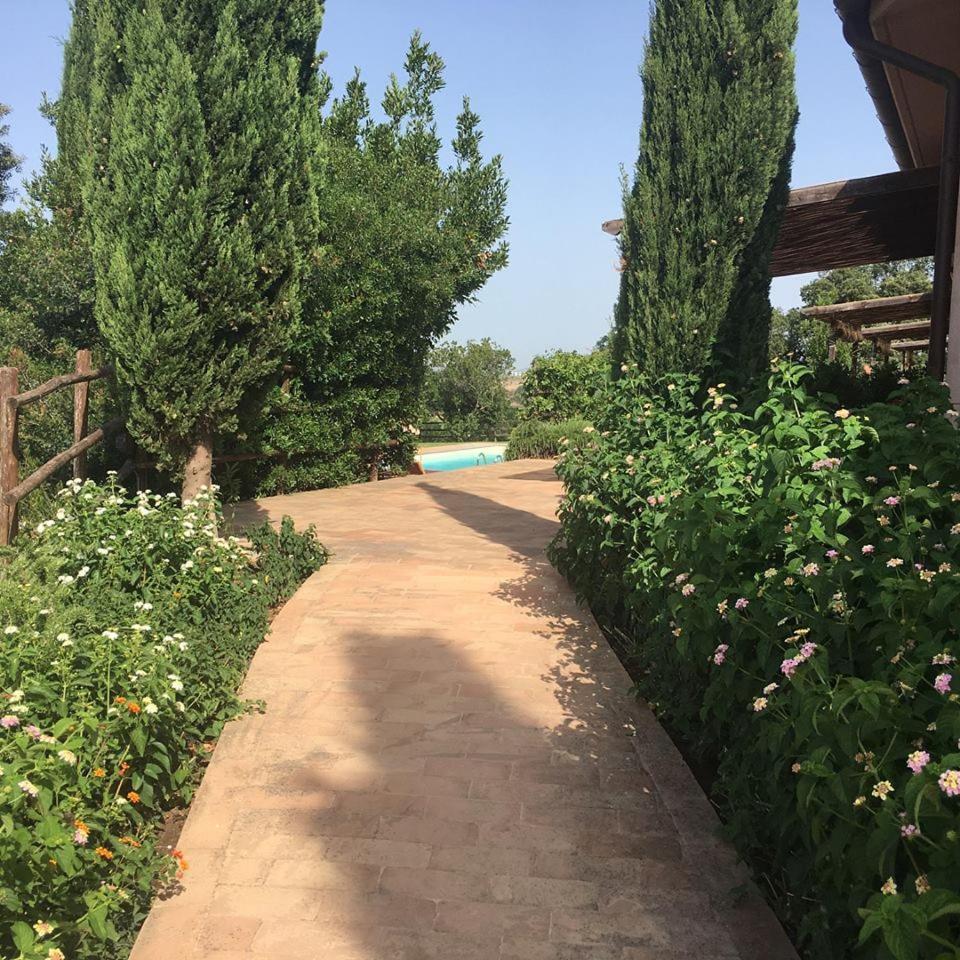 Tenuta Saracone Séjour à la campagne